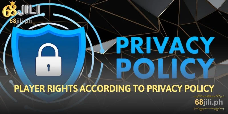 Player Rights According to Privacy Policy